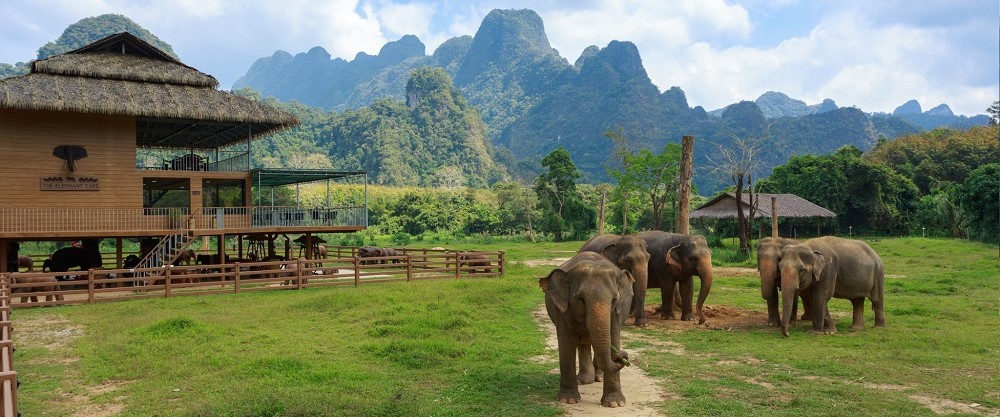 Elephant Hills Camp, Khao Sok Thailand